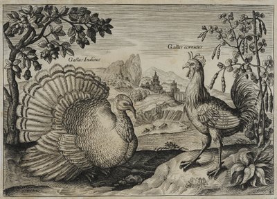 Old Master Engraving by Adriaen Collaert